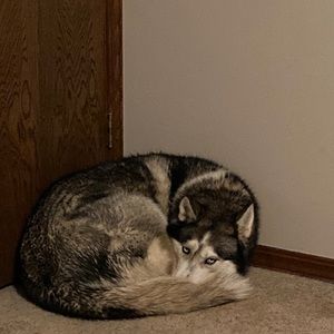 Meet your Posher, Clayton